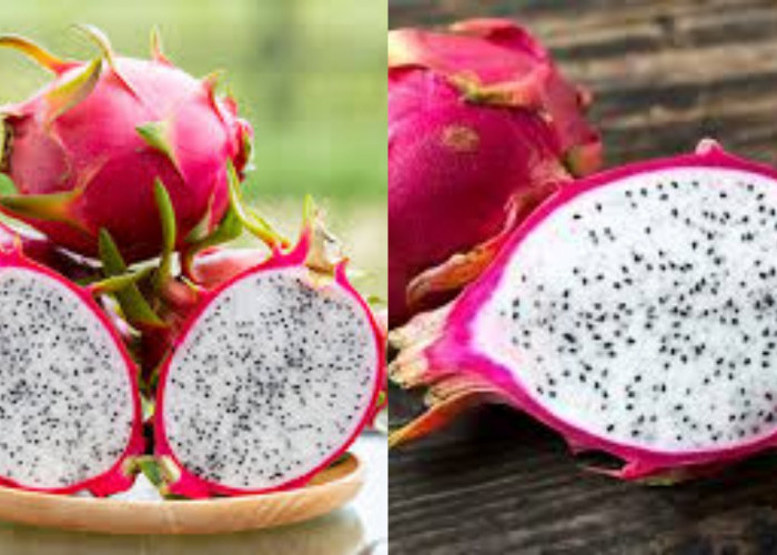 Inilah Manfaat Buah Naga Putih Bagi Kesehatan Tubuh Yang Luar Biasa!