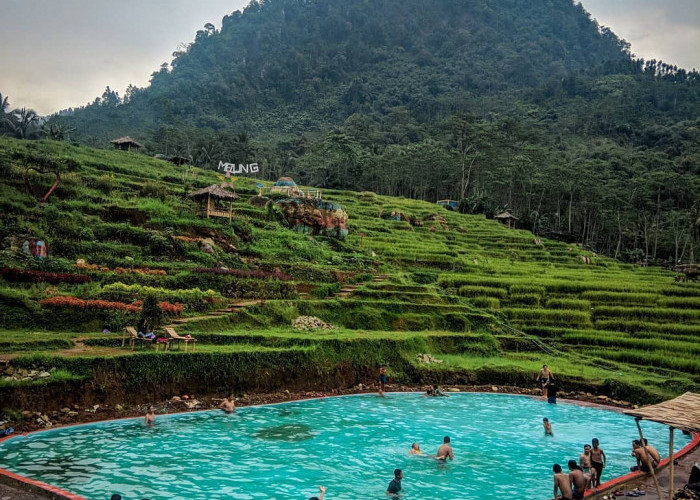 Wisata Outdoor Pagubugan Melung, Sensasi Berenang di Tengah Sawah dengan Pemandangan Bukit Nan Indah