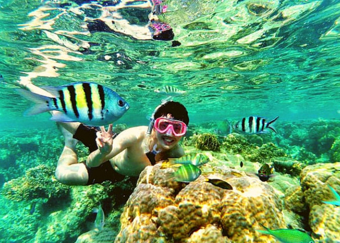 Kaya Akan Terumbu Karang yang Indah, Berikut 5 Spot Snorkeling di Lampung 
