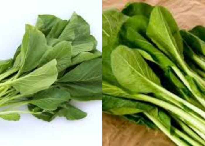 Wajib Tahu Inilah 8 Manfaat Sawi untuk Kesehatan yang Sayang untuk Dilewatkan!