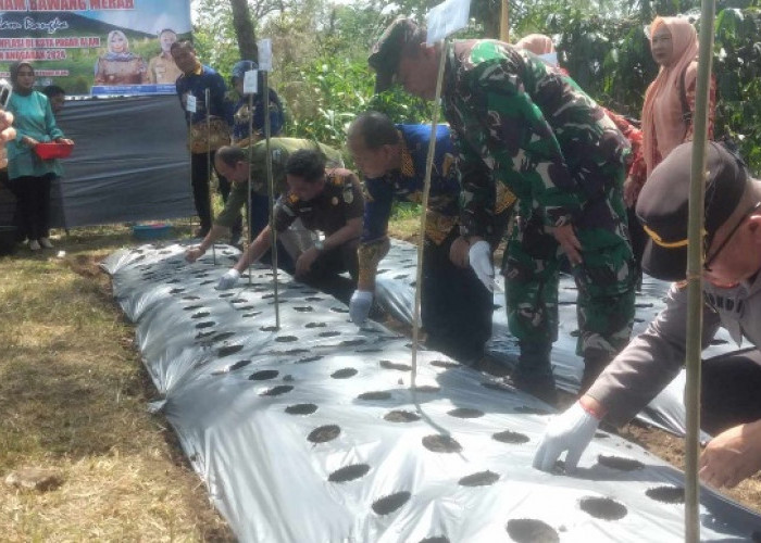 Hadapi Kemarau, Pj Sekdakot Pagar Alam Ingatkan Hal Ini kepada Petani