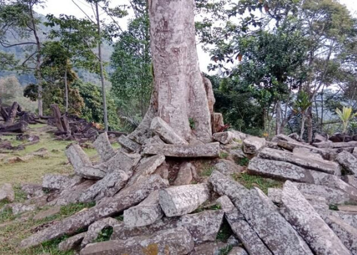 Jadi Pusat Penelitian Para Arkeolog, Reaktor Alam Temukan Pembangkit Tenaga Kuno di Gunung Padang 
