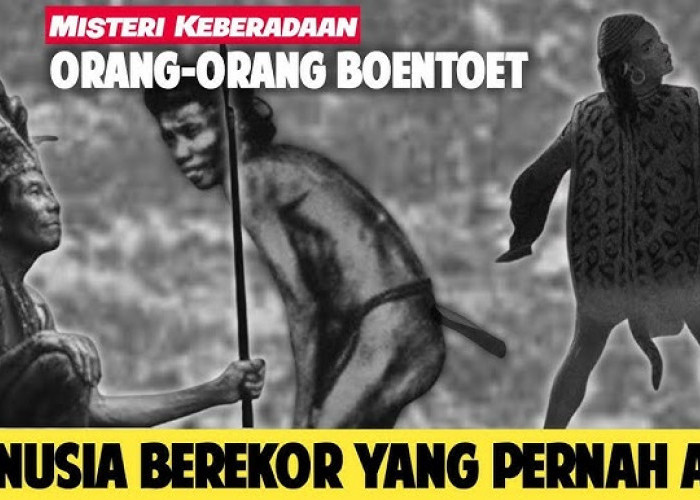 Misteri Suku Manusia Ekor di Kalimantan: Fakta atau Fiksi?