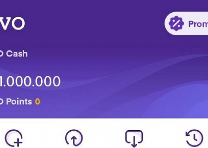 Siap Mendapatkan Saldo OVO Rp200.000? Ayo Main Game Pirate Rus yang Membayar!