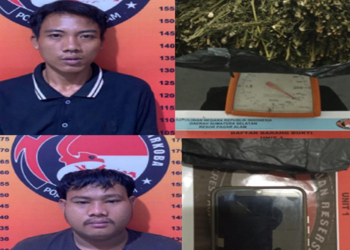 Dua Pengedar Ganja Ini Liburan Tahun Baru di Balik Jeruji Besi  