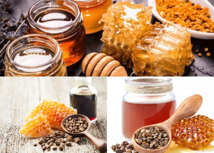 Selain Menghasilkan Madu Lebah juga dapat Memproduksi Produk disebut Propolis, Inilah Manfaatnya!