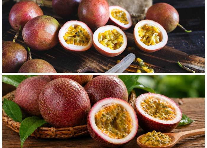 Rahasia Kesehatan dari Markisa: Buah Asam dengan Segudang Manfaat