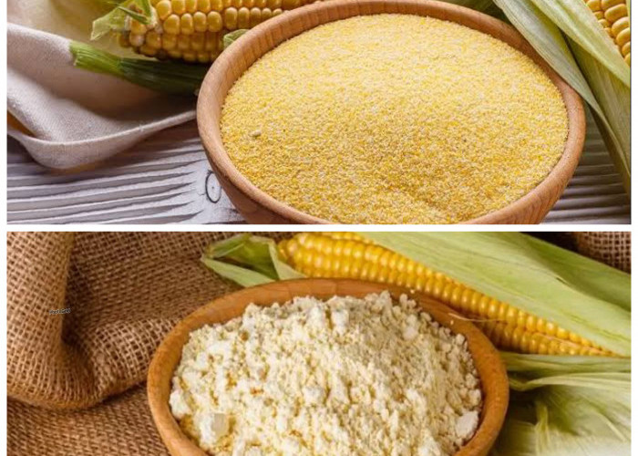Manfaat Tepung Jagung bagi Kesehatan Tubuh: Sumber Energi, Ramah Pencernaan, dan Aman untuk Diet Bebas Gluten