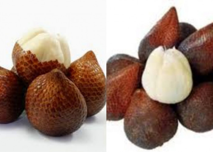 Wajib Tahu Inilah Manfaat Salak Pondoh Yang Luar Biasa!