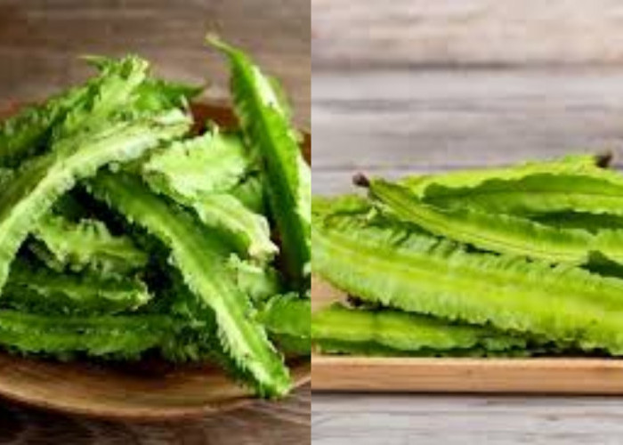 Simak! 8 Manfaat Kecipir untuk Kesehatan yang Jarang Diketahui