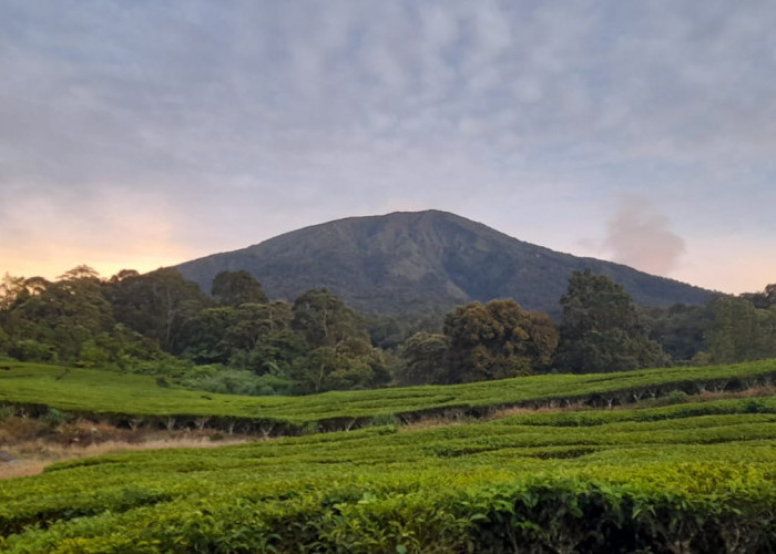 Keajaiban Sejarah Pagar Alam, Eksplorasi Kota di Kaki Gunung Dempo yang Menyimpan Cerita Mengagumkan
