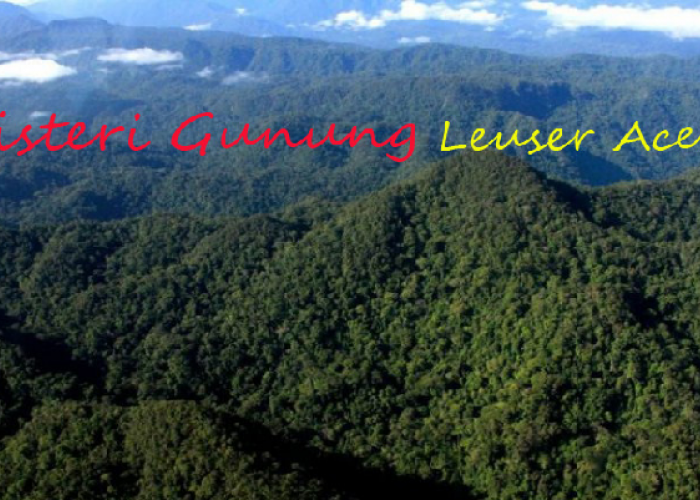 Pendaki Wajib Tahu! Apa Saja Fakta dan Larangan di Gunung Leuser?