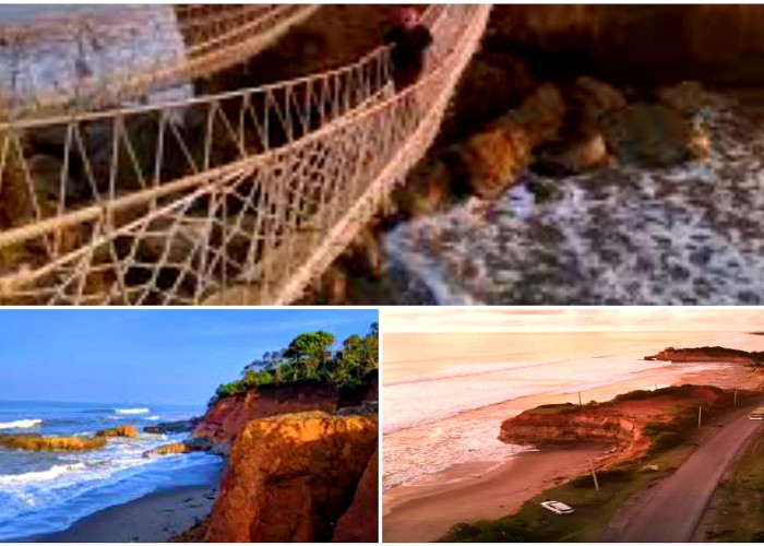 Wisata Alam Bengkulu. Keindahan dan Daya Tarik Pantai-pantai di Bumi Raflesia