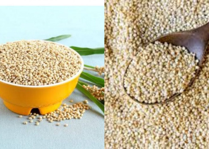 Simak! 8 Manfaat Tepung Sorgum Yang Belum Banyak Diketahui