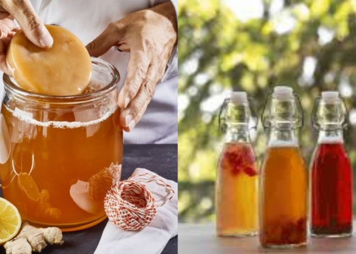 Jarang Diketahui! Sebuah Manfaat Mengonsumsi Teh Kombucha bagi Kesehatan