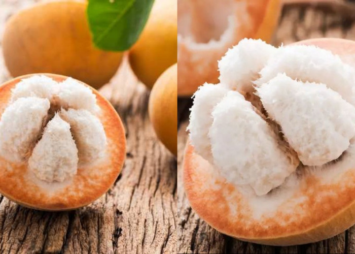 Khasiat Tersembunyi Buah Kecapi yang Jarang Diketahui Banyak Orang!