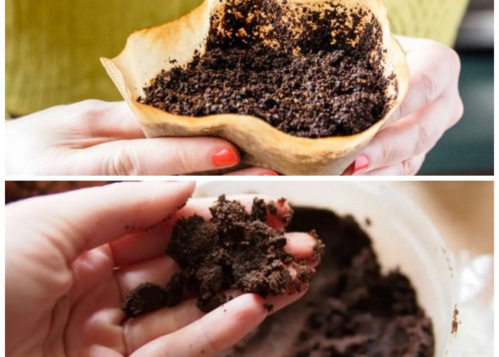 Jangan Dibuang! 7 Cara Ampas Kopi Bisa Bermanfaat di Kehidupan Sehari-hari