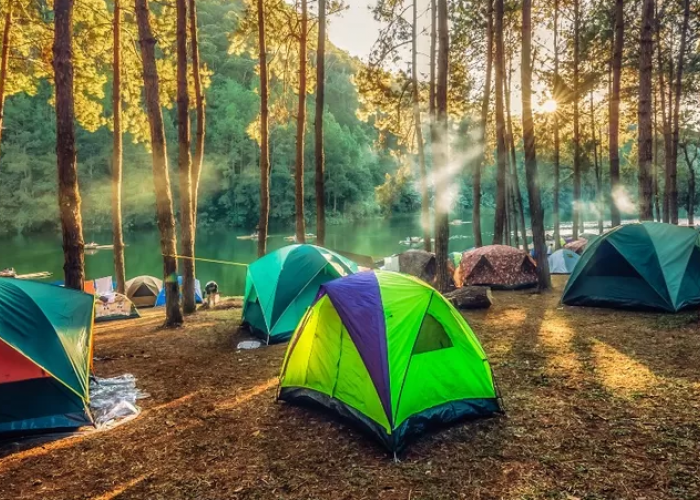 Bikin Gak Mau Pulang! Inilah 5 Tempat Camping di Bogor dengan Kesejukannya