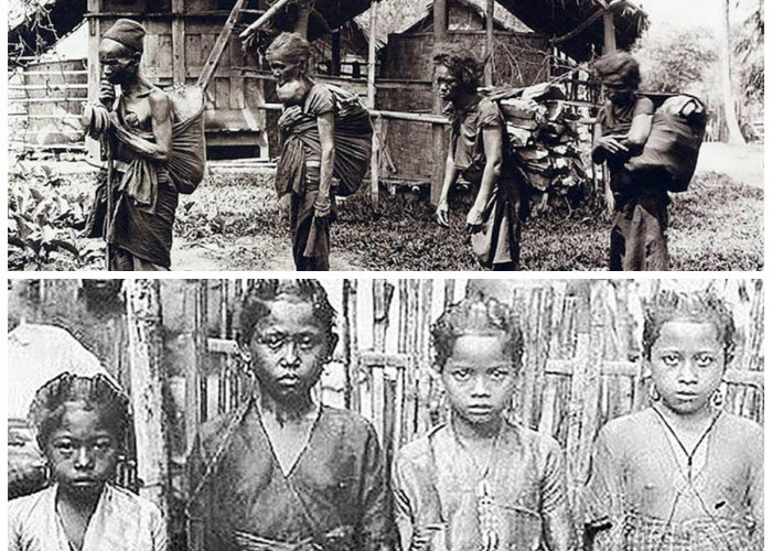 Suku Wajak dan Warisan Prasejarahnya: Pelopor Manusia Modern di Tanah Nusantara