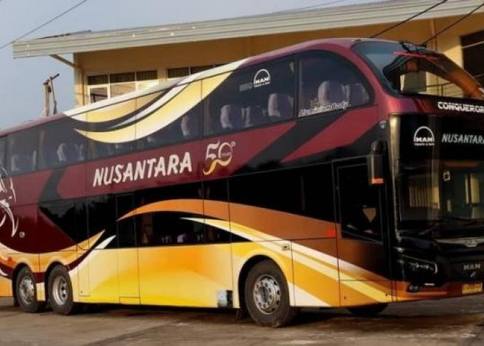 Bikin Takjub Soal Penampilan Bus Indonesia Sama Seperti Hotel!
