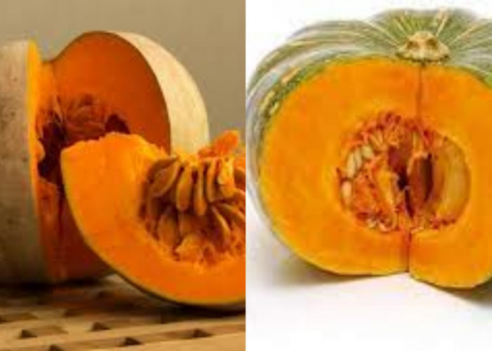 Simak! Inilah 10 Manfaat Labu Kuning Untuk Kesehatan Yang Jarang Diketahui