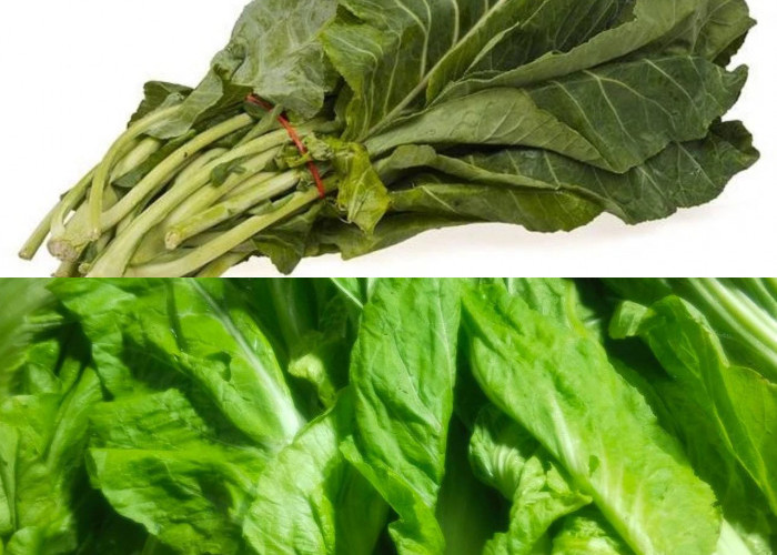 Yuk Intip Manfaat Sawi Pahit bagi Kesehatan Manusia!