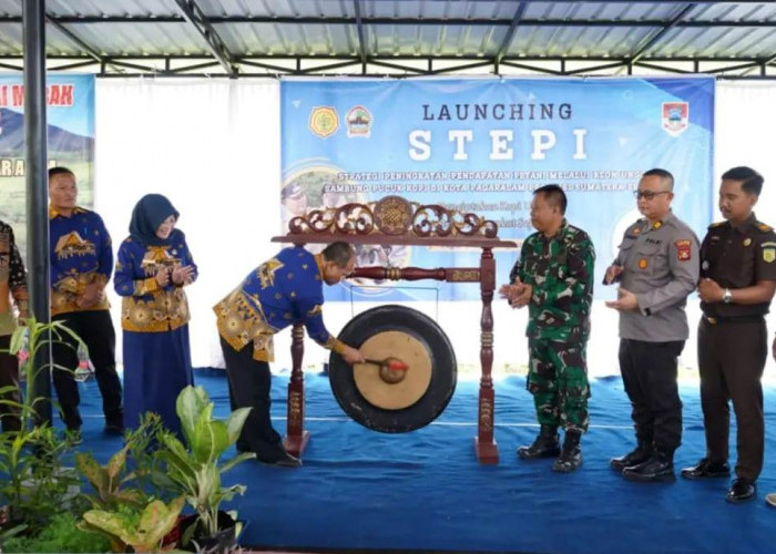 Dinas Pertanian Pagaralam Terapkan Inovasi STEPI, Ciptakan Komoditas Kopi Unggul Untuk Kesejahteraan Petani