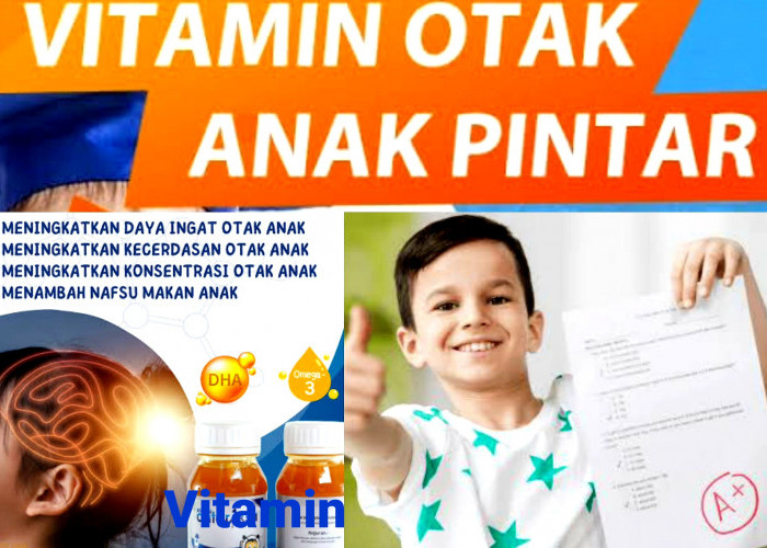 Ingin Anak Pintar? Penuhi Kebutuhan Vitamin Otak. Ini Nutrisi tang Dibutuhkan Otak Anak Agar Cerdas.