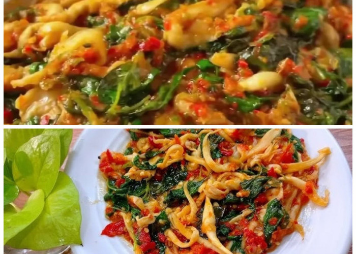 Resep Tumis Jamur Kemangi Pedas, Hidangan Simpel yang Bikin Ketagihan