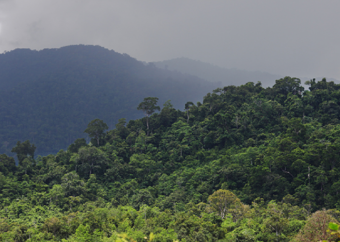 Puncak yang Tinggi: Kisah Sejarah di Balik Nama Gunung Ulumasen