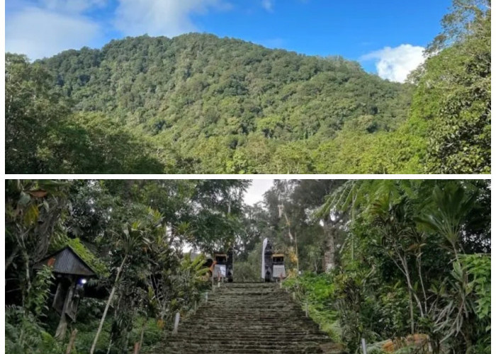 Gunung Adeng Tabanan: Daya Tarik Alam Berkarakter yang Siap Memikat Pendaki