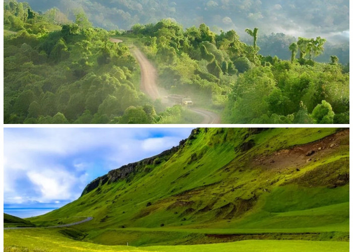 Sejarah Gunung Lumut: Pesona Alam, Legenda, dan Kehidupan Masyarakat Sekitar!