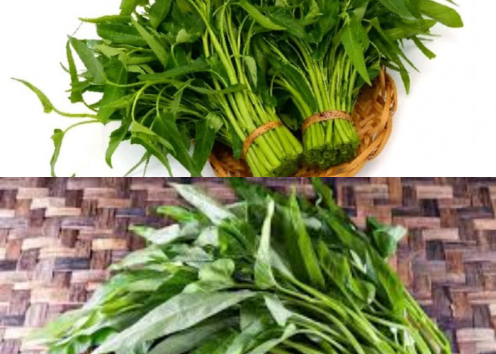  Inilah Keuntungan Mengonsumsi Kangkung bagi Ibu Hamil dan Janin!