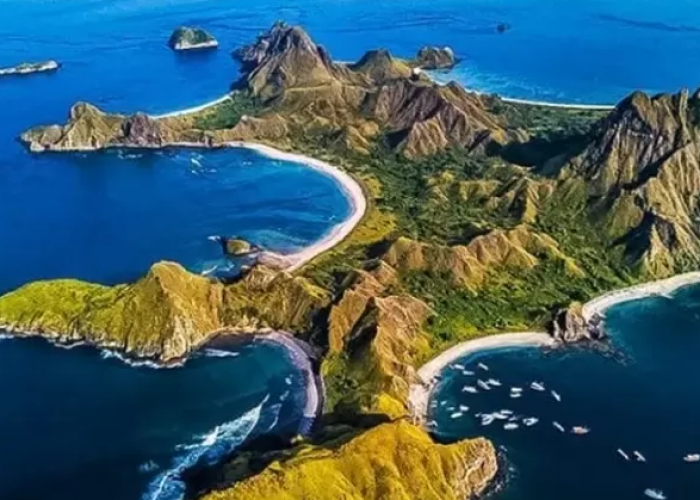 Sambut Tahun 2024! Inilah Destinasi Wisata Pulau Rinca yang Hits