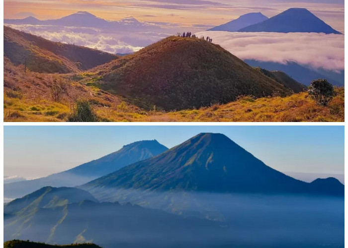 Menelusuri Gunung Prau: 6 Fakta Sejarah dan Alam yang Memukau