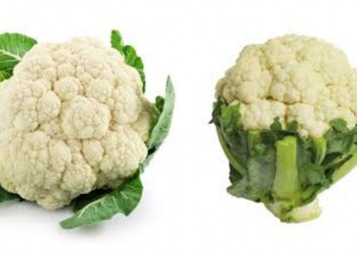 Inilah 7 Manfaat Kembang Kol Untuk Kesehatan Tubuh Yang Jarang Diketahui!