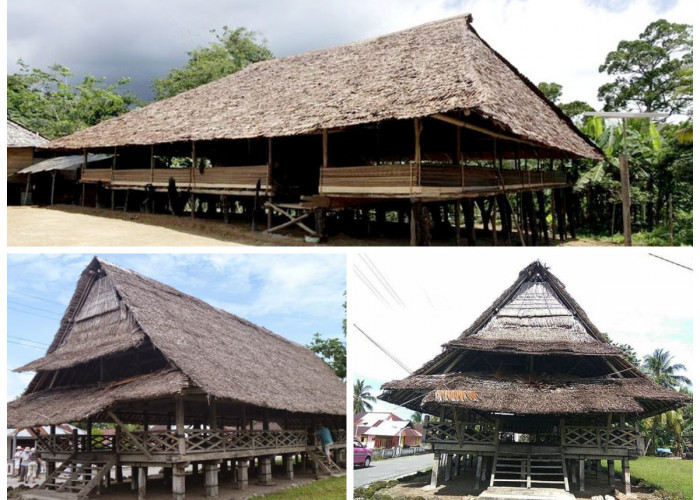 Sejarah Rumah Baileo: Simbol Kebersamaan dan Kearifan Lokal Maluku!