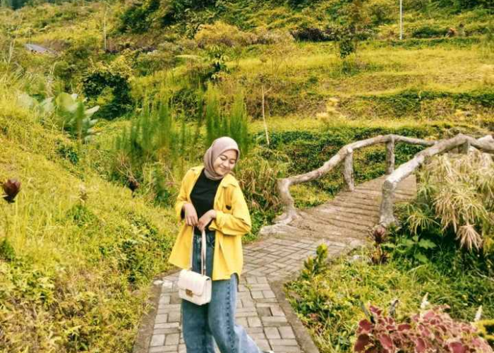 Menjelajahi Keindahan Bukit Tengtung Baturraden, Destinasi Wisata Alam yang Spektakuler di Jawa Tengah 