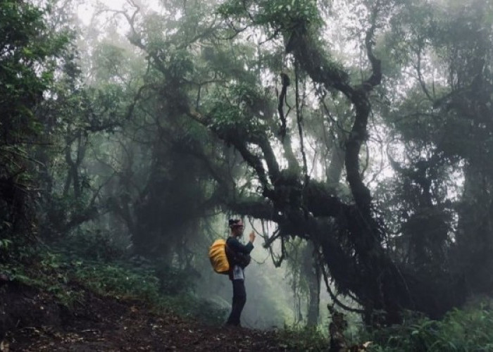 Cek Dulu Sebelum Mendaki, Inilah 5 Gunung Penuh Mistis dan Angker di Pulau Jawa!