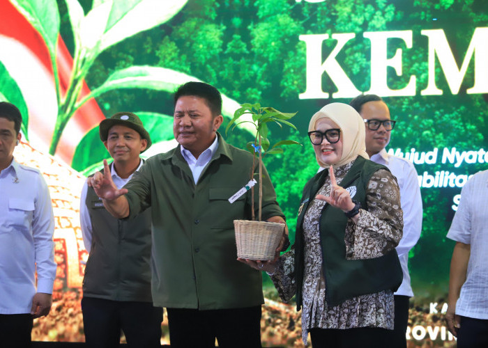 Karhutla Mengintai 1,4 Juta Hektare Lahan Gambut di Sumsel