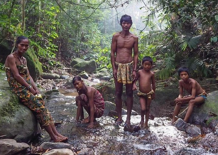 Pelestarian Budaya dan Identitas di Tengah Ancaman Perubahan, Suku Kubu Jambi