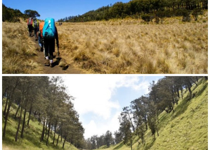 Bukan Sekadar Mitos! Ini Alasan Historis Mengapa Gunung Lawu Selalu Dikaitkan dengan Hal Spiritual