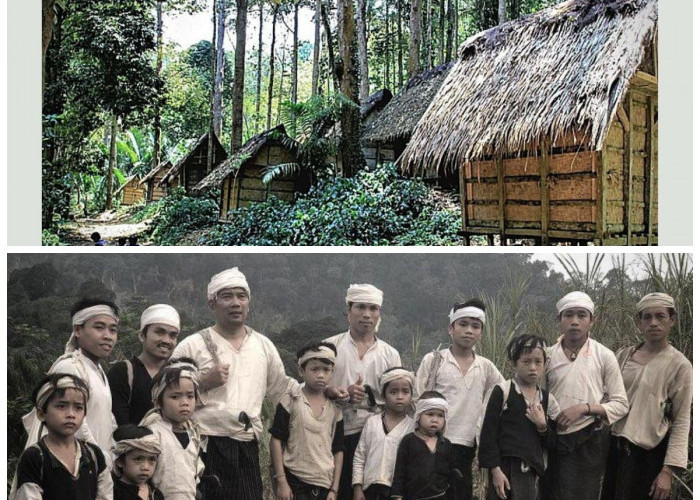 Mengenal Suku Baduy: Sejarah, Kehidupan, dan Tradisi Alam yang Memikat