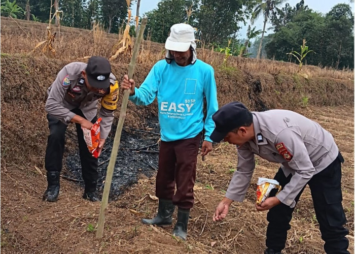 Polsek Dempo Utara Dorong Ketahanan Pangan di Kelurahan Binaan