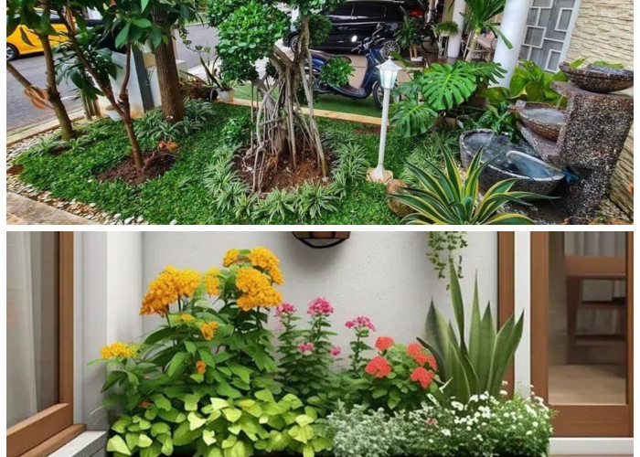 Rumah Minimalis Naik Level! 7 Inspirasi Taman Landscape 2026 untuk Tampilan Lebih Mewah dan Sejuk