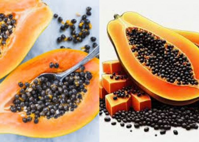 Perlu Kalian Ketahui Inilah 7 Manfaat Biji Pepaya Untuk Kesehatan Yang Luar Biasa!