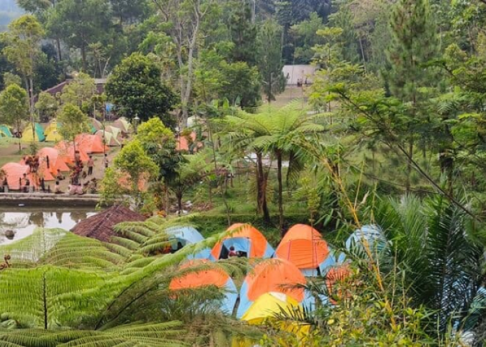 Wanakula Camp Purwakarta, Tempat yang Cocok Untuk Healing dan Melepas Penat!