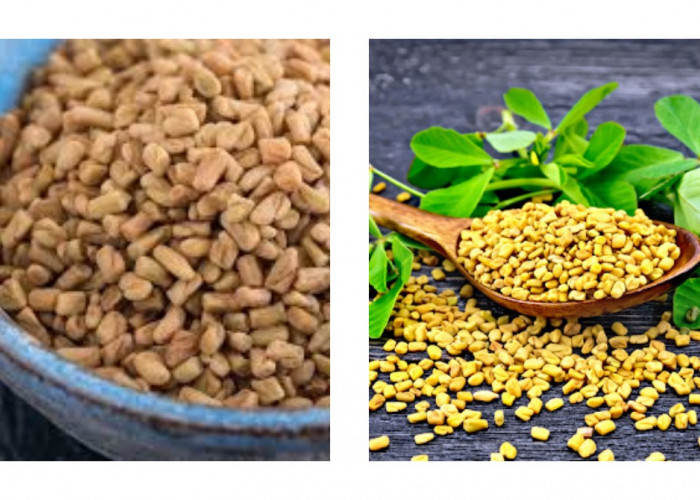7 Manfaat Fenugreek untuk Kesehatan Tubuh