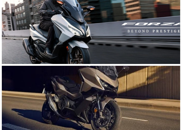 Honda Forza Dimodif Jadi Maxi Tourer, Tampilannya Mewah dan Cocok Buat Touring Jarak Jauh!