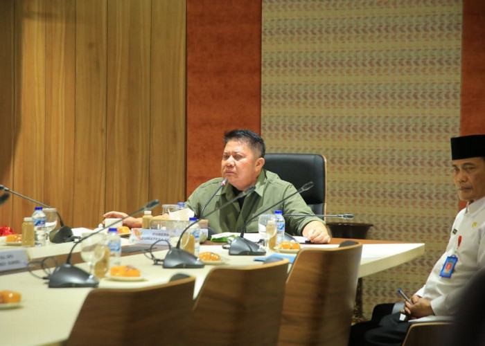 Herman Deru Percepat Lisdes di Sumsel, Bersinergi dengan Kementerian Kehutanan dan PLN